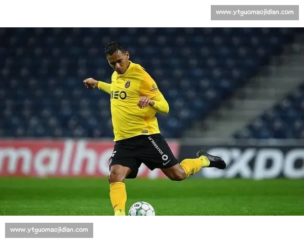 里奥阿维对阵阿罗卡关键之战走势与胜负前瞻解析深度数据与阵容看点